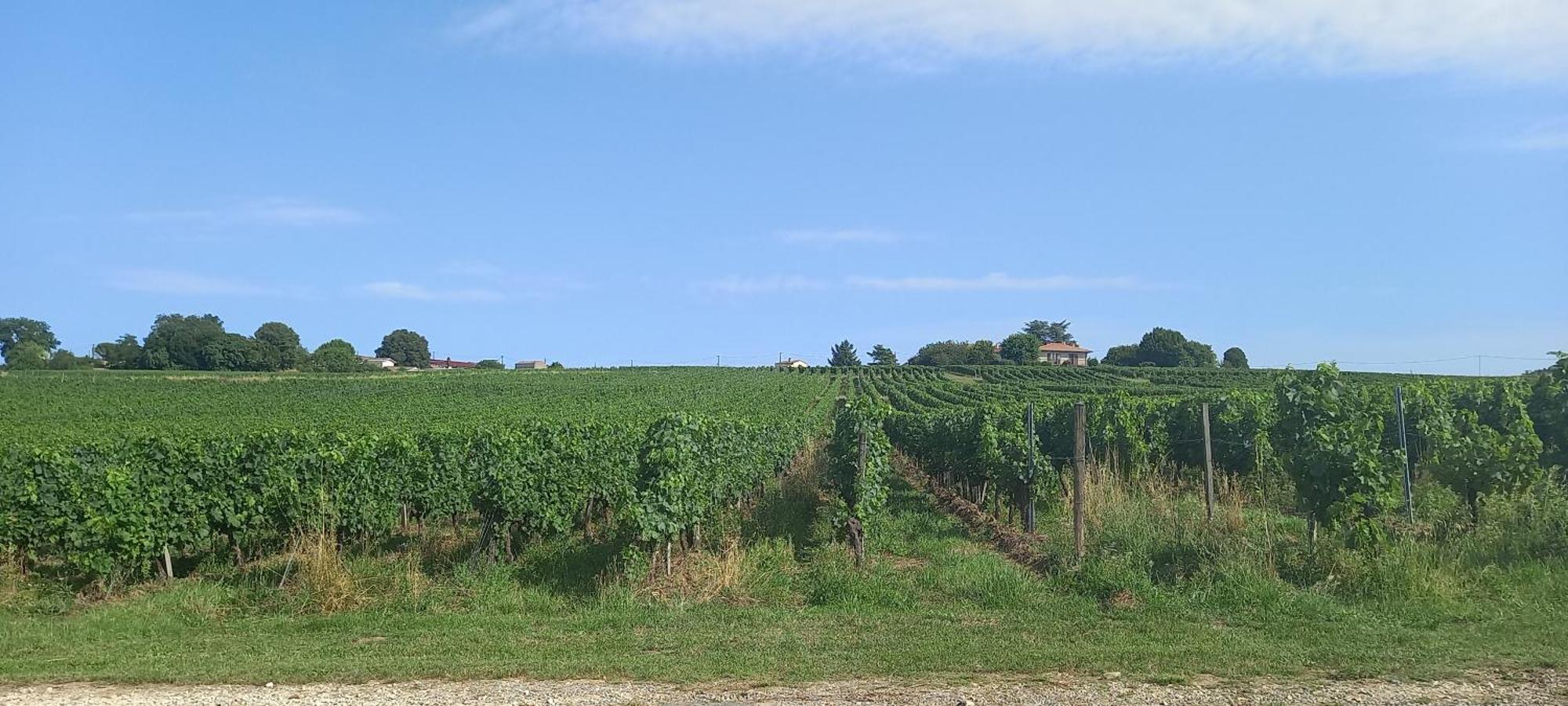 L'Hermitage D'Alienor Lugon et l'Ile du Carney Bagian luar foto