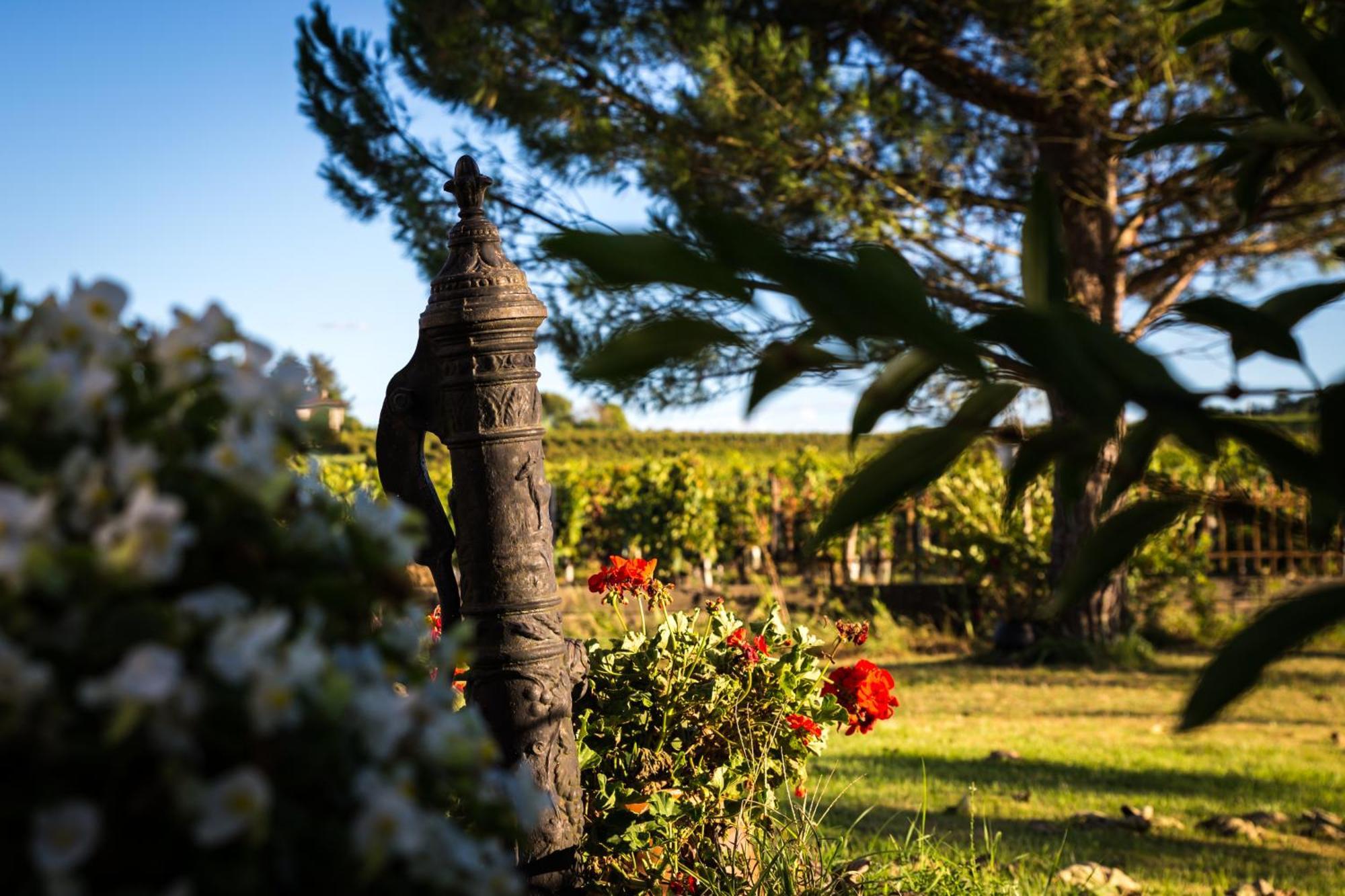 L'Hermitage D'Alienor Lugon et l'Ile du Carney Bagian luar foto